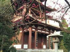 -西安青龙寺遗址景区