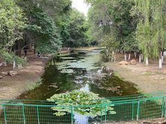 -长白岛森林公园