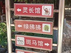 -保定市动物园