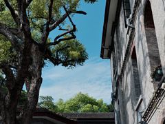 -江心屿景区