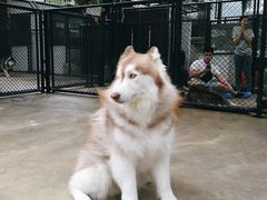-TrueLove @ Neverland (Husky Cafe)
