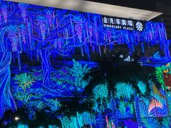 -金光华广场