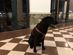 -玉园烧烤·海鲜辣炒