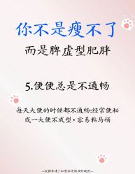-Fundi张玉珊修身堂·indiba·BTL科技瘦身