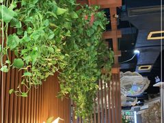 -蕉棠·鸽子餐厅(柳州万象城店)