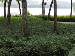 -顺峰山公园