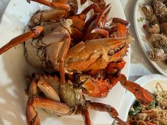 -莲花公园煎蟹(总店)