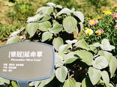 -国家植物园