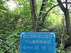 -阳台山自然风景区