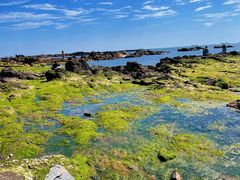-青岛第二海水浴场