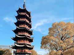 -龙华素斋(龙华路店)