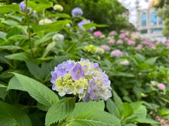 -常州古运河南大街文化旅游区-人民公园