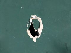 -东丽温泉羽毛球