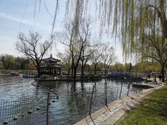 -陶然亭公园