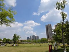 -府河摄影公园
