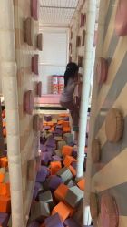 -超级奈尔宝SUPER NEOBIO(杭州星光店)