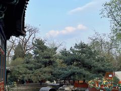 -宣武艺园