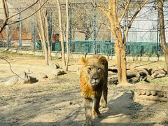 -北京野生动物园