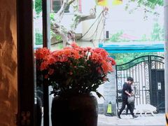 -Apollo·西班牙小酒馆(安福路店)
