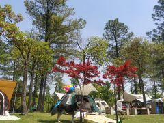 -美兰湖景区
