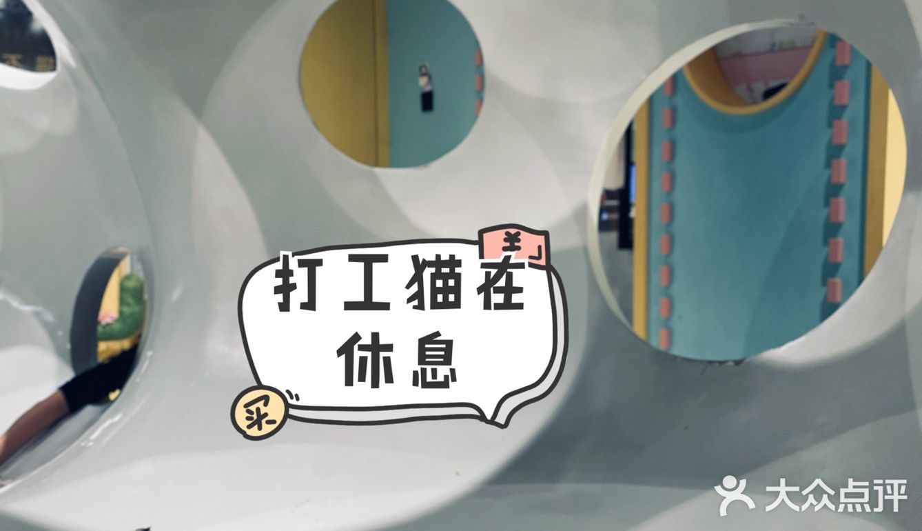 探店丨猫先生之家·猫舍
