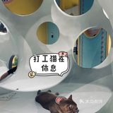 探店丨猫先生之家·猫舍
