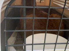 -瑞鹏宠物医院·宠保定点·心脏科·内科(御桥分院)