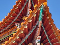 -洛龙公园