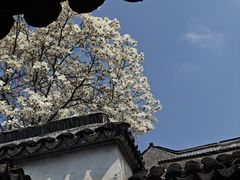 -西园戒幢律寺