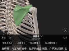 -锐动健身游泳(博地中心店)