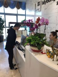 -北京米扬丽格医疗美容·联合丽格鼻整形中心