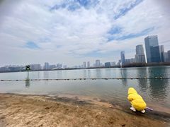 -天鹅湖体育公园