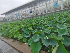 -临沂华盛江泉城大酒店