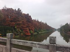 -上海海湾国家森林公园