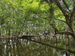-西溪南古村落