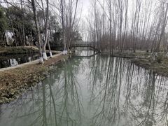 -桤木河湿地公园