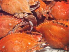 -荣誉国际酒店-云顶旋转餐厅