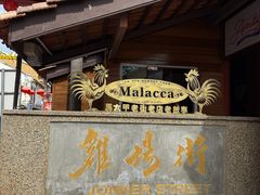 -马六甲鸡场街