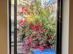 -素咫咖啡CLIFEROSE(新安店)