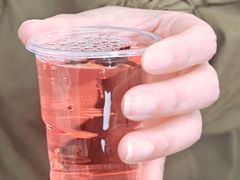 桃花醉-苗侗地道红酸.酸汤鱼·酸汤牛肉