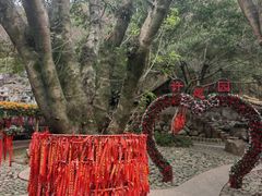 -灵光寺