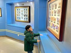 -上海昆虫博物馆