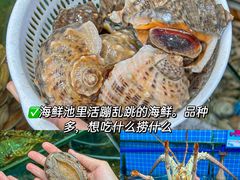 -三亚亚特兰蒂斯度假区