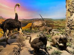 -国家自然博物馆