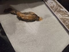 -将台涮肉(酒仙桥店)