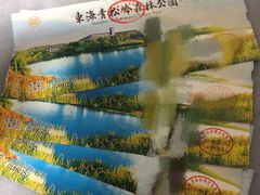 -东海森林温泉