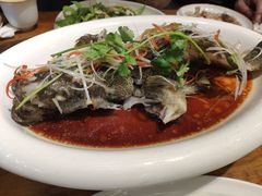 豉蒸南海大龙胆-必点海鲜·鲅鱼水饺(鞍山西道店)