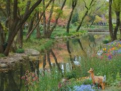 -上海共青森林公园