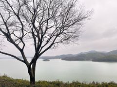 -天目湖涵田半山温泉