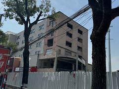 -上海滨江森林公园